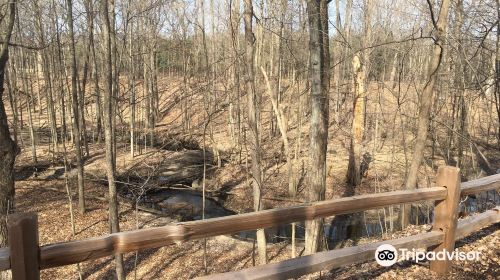 Blandford Nature Center