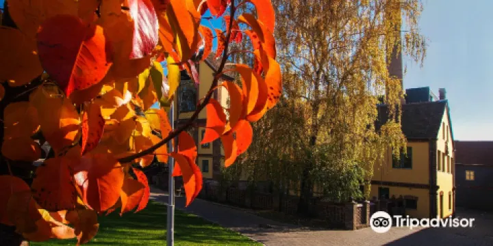 Zsolnay Cultural Quarter