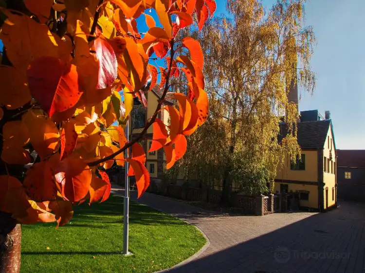 Hotels near Zsolnay Cultural Quarter