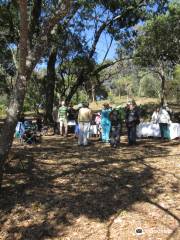 Ewanrigg Botanical Gardens