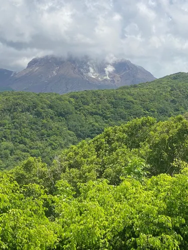 Jack Boy Hill Viewing Facility