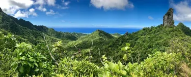 Te Rua Manga (The Needle)