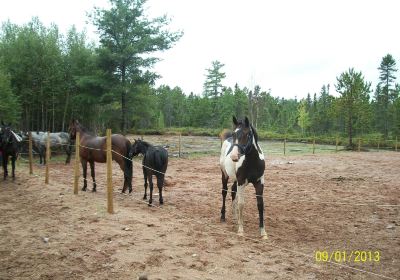 Annapolis County