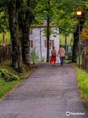 Viale E Fonte Sulfurea Del Chiardovo