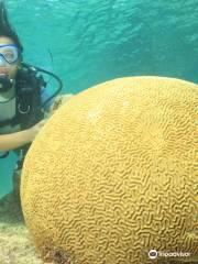 Coral Beach UNDERWATERCUBA