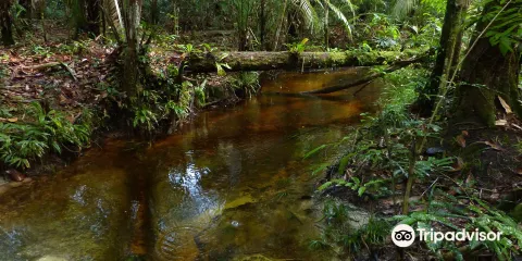 Cachoeira Salto do Ipy