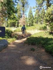 Boole Tree Trail