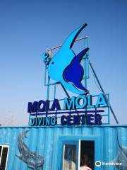 MolaMola Diving Center - Best Snorkeling & Scuba Diving Center in Muscat, Oman