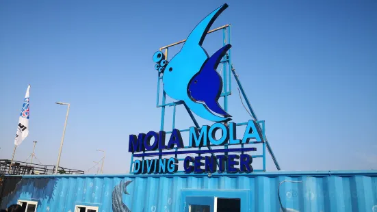 MolaMola Diving Center - Best Snorkeling & Scuba Diving Center in Muscat, Oman