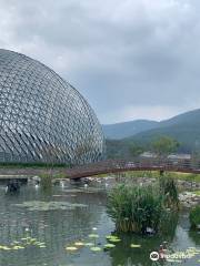 Geoje Botanical Garden Jungle Dome