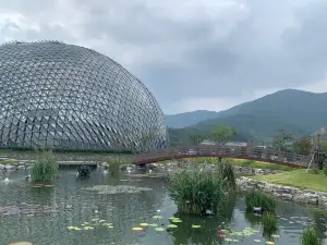 Geoje Botanical Garden Jungle Dome