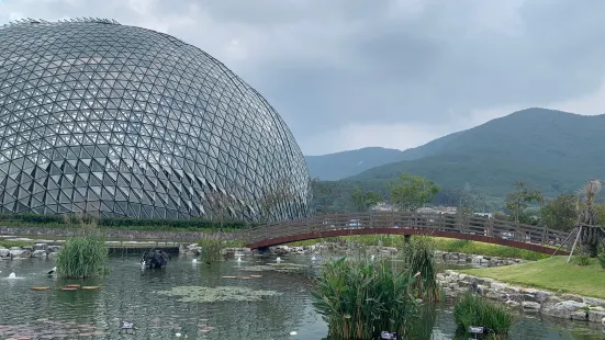 Geoje Botanical Garden Jungle Dome