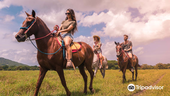 Native's Way Costa Rica - Tours and Transfers