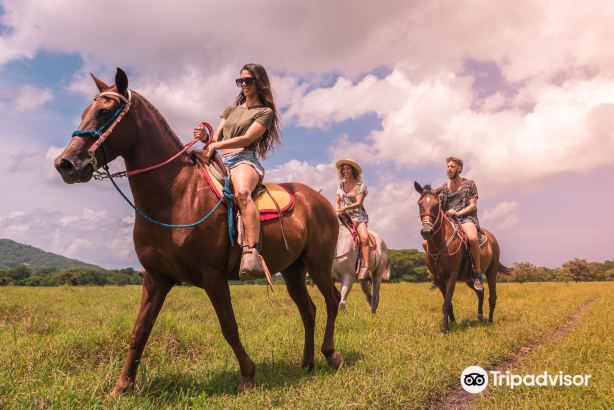 Native's Way Costa Rica - Tours and Transfers