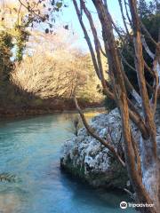 Acheron Springs