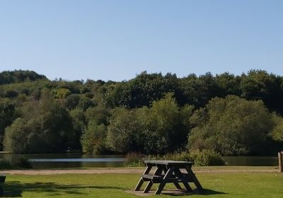 Vicar Water Country Park