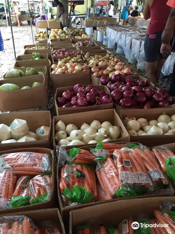 4_Coconut Grove Farmer's Market