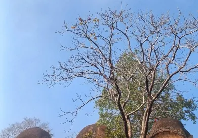 Rajasthan