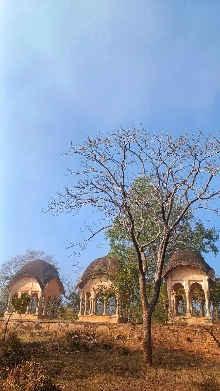 2-Star Hotels in Rajasthan, India