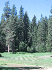 Big Trees Golf Course