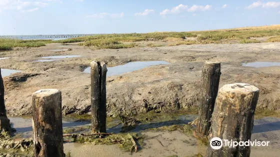 Storm Surge Column