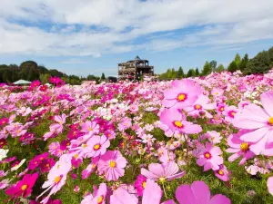 Bihoku Hillside Park
