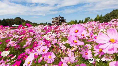 Bihoku Hillside Park