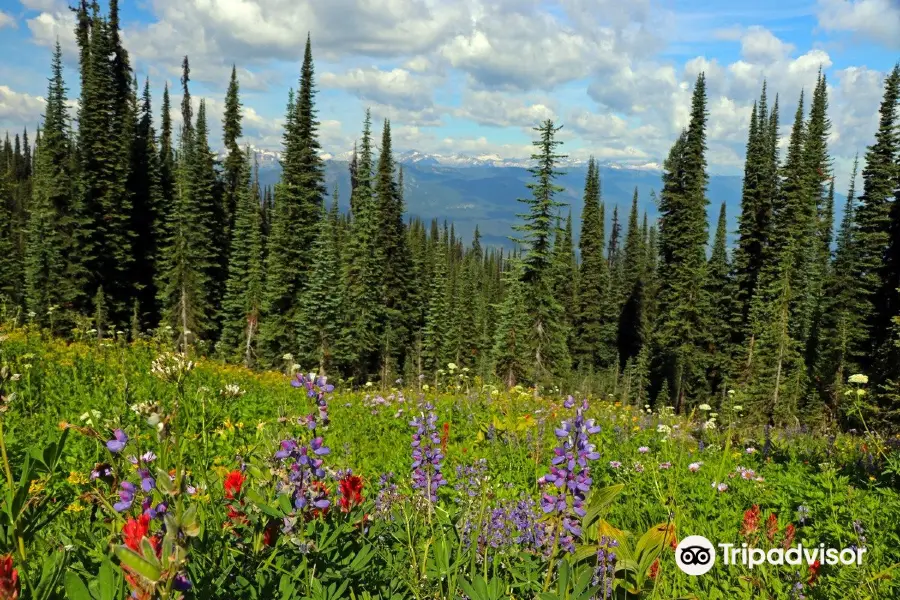 Meadows in the Sky Pkwy