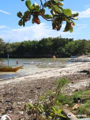 Malapascua Kitesurfing