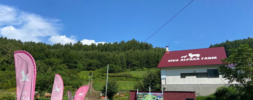Viva Alpaca Farm