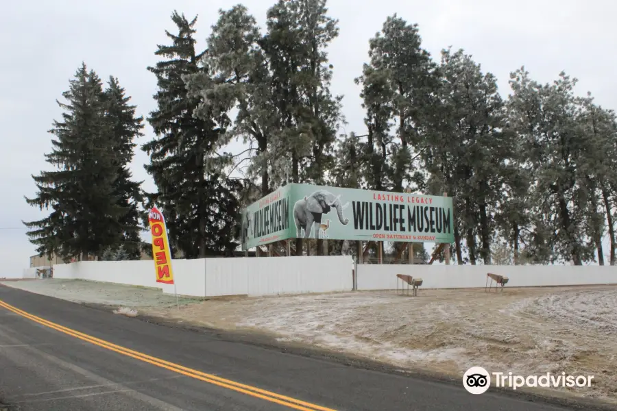 Lasting Legacy Wildlife Museum