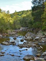 Hercules Glades Wilderness Area