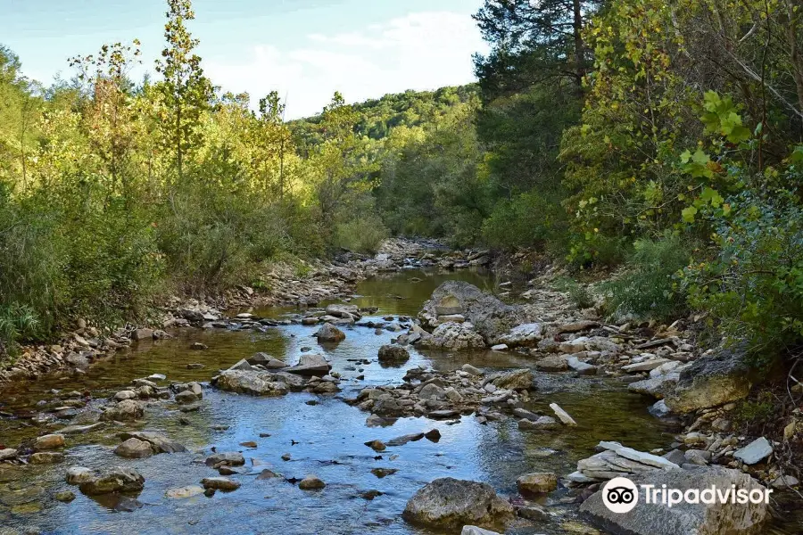 Hercules Glades Wilderness Area