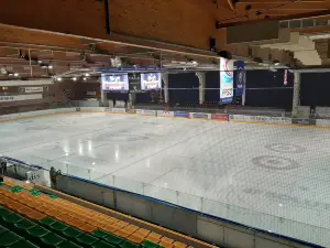 Rink Mulhouse