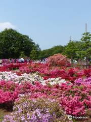 Tsutsujigaoka Park