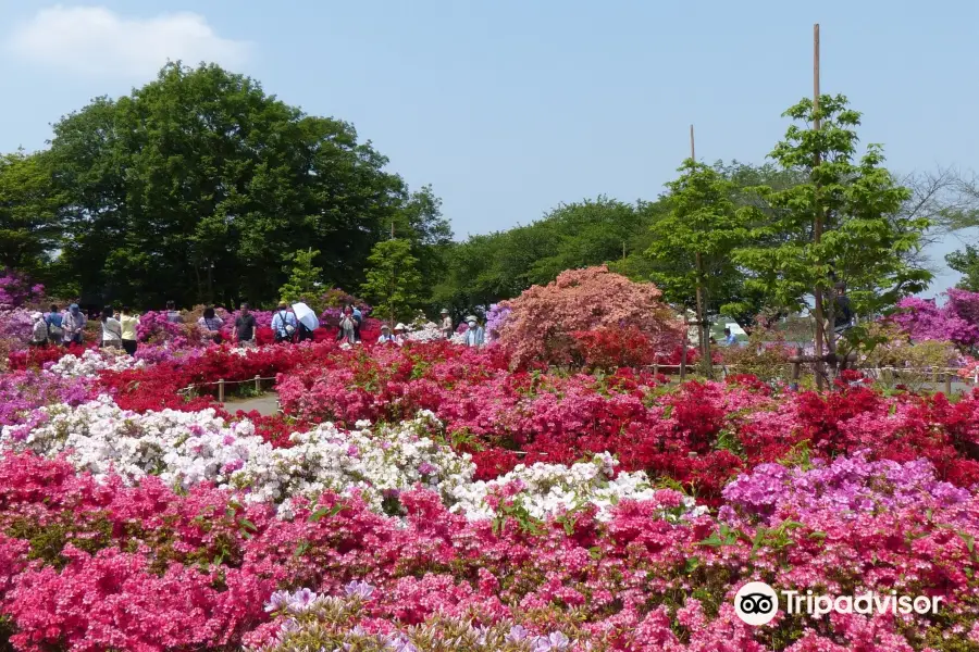 Tsutsujigaoka Park