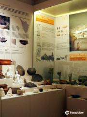 Civico Museo Archeologico di Camaiore