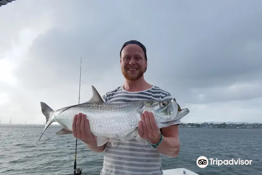 Puerto Rico Tarpon Connection