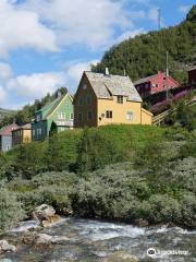 Myrdal Station