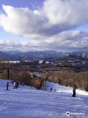 Edelweiss Ski Resort