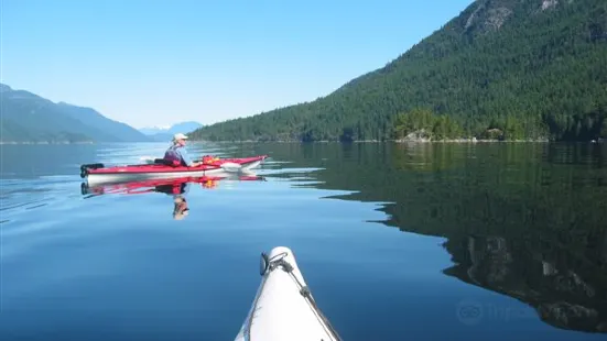 Pedals & Paddles