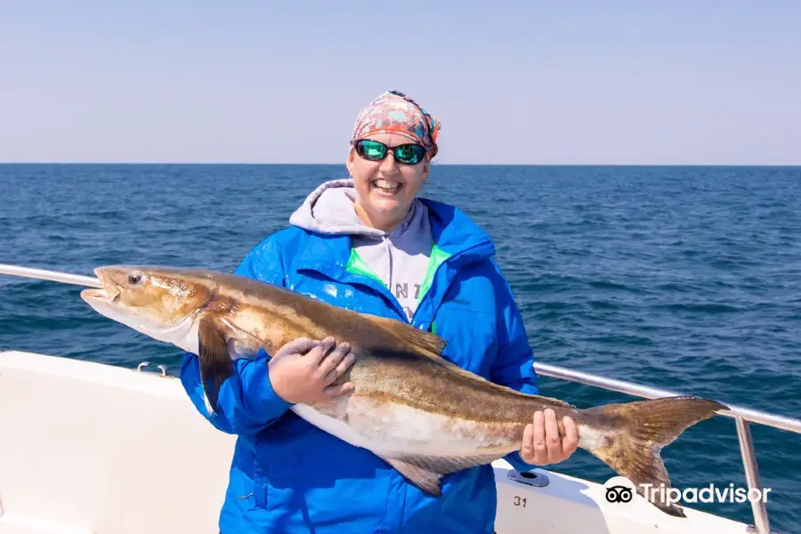 Majesty Deep Sea Fishing at Monty's Marina