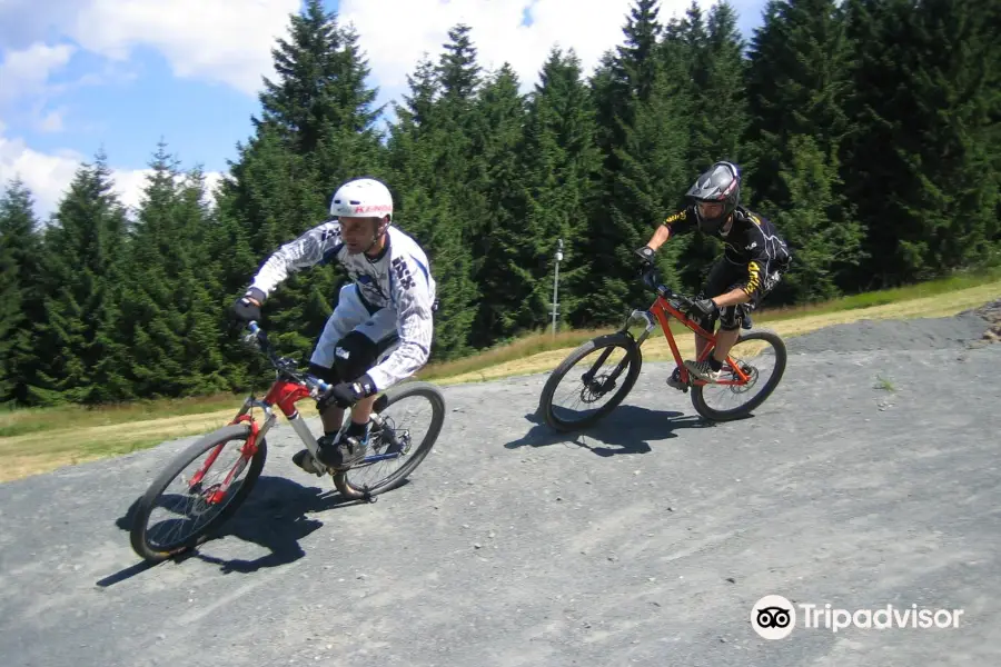 Bikepark-Hahnenklee