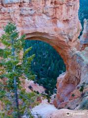 Bryce Canyon Scenic Drive