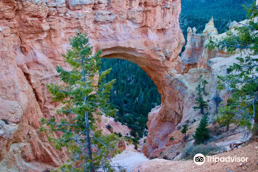 Bryce Canyon Scenic Drive