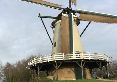 Stellingkorenmolen De Windhond