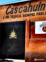 Tequila Cascahuín