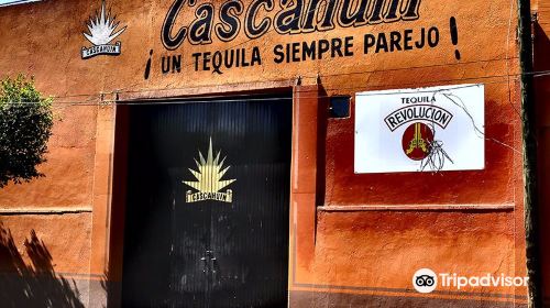 Tequila Cascahuin