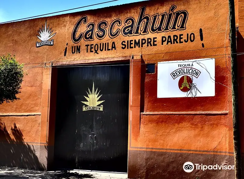 Tequila Cascahuin