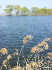 Bangokji Reservoir